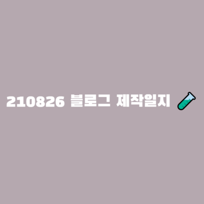 210826 블로그 제작일지